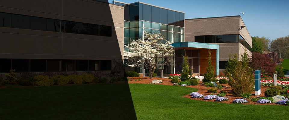 Saint Helena Island Landscapers