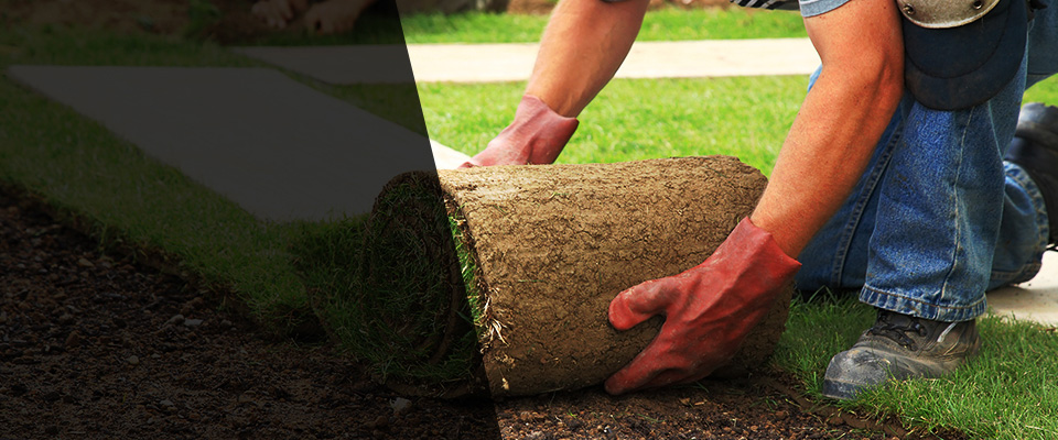 Saint Helena Island Landscapers